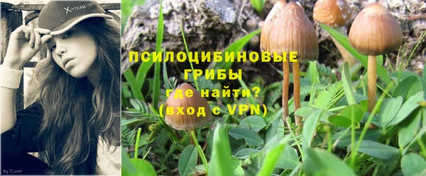 mdpv Яровое